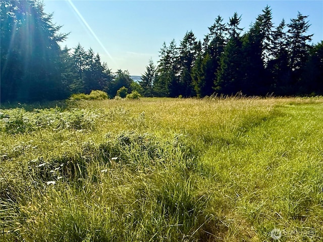 980 NE Pennington Loop, Coupeville, WA 98239 - photo 20