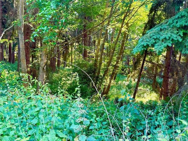 980 NE Pennington Loop, Coupeville, WA 98239 - photo 21