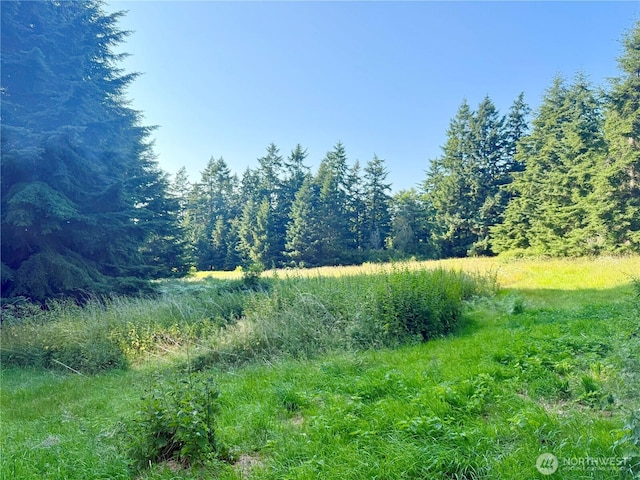 980 NE Pennington Loop, Coupeville, WA 98239 - photo 23