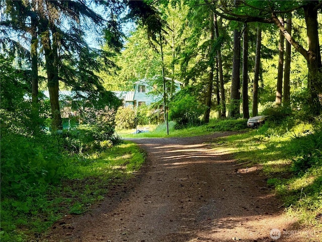 980 NE Pennington Loop, Coupeville, WA 98239 - photo 24