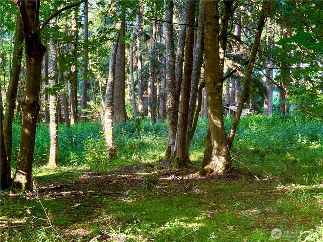 980 NE Pennington Loop, Coupeville, WA 98239 - photo 27