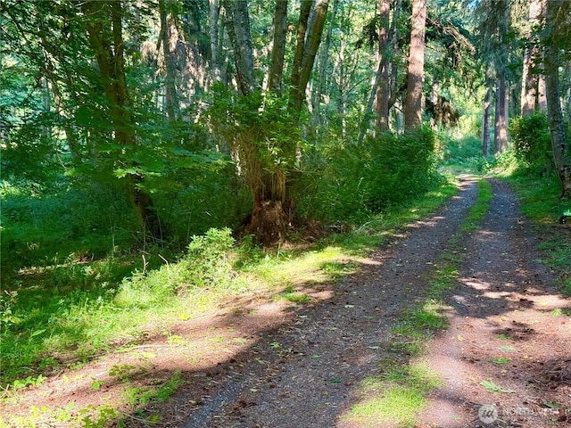 980 NE Pennington Loop, Coupeville, WA 98239 - photo 28