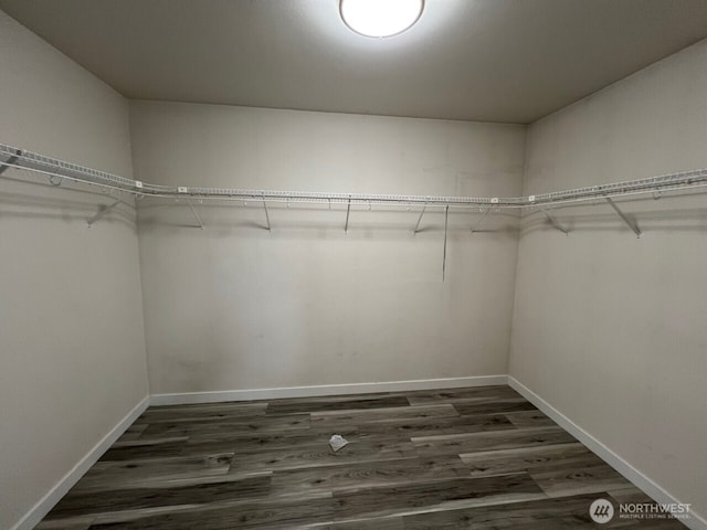 9525 S 221st Pl, Kent, WA 98031 - walk in closet with dark wood-style floors
