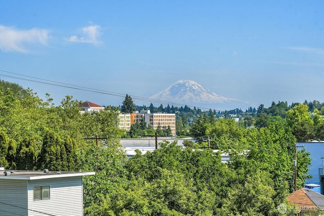 2030 24th Ave S Unit 29, Seattle, WA 98144 - view of mountain backdrop