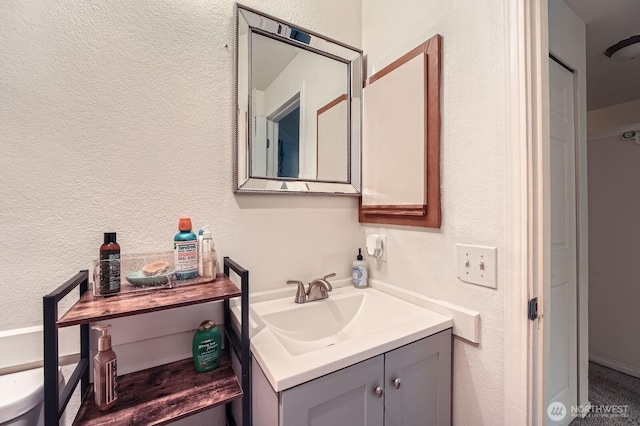 2100 S 336th St Unit M1, Federal Way, WA 98003 - bathroom with a textured wall and vanity