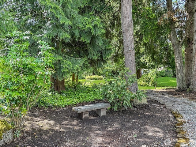 3305 207th Pl SE, Bothell, WA 98012 - view of community