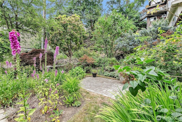 4815 46th Ave S, Seattle, WA 98118 - view of yard