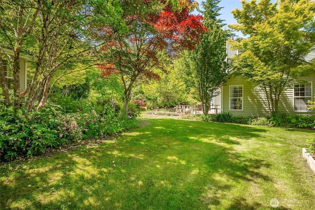 2285 Rusty Ln, Bellingham, WA 98229 - view of green lawn
