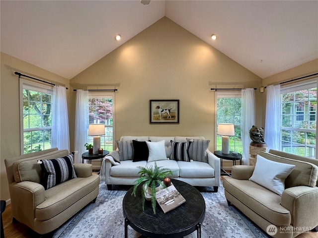 2285 Rusty Ln, Bellingham, WA 98229 - living area featuring high vaulted ceiling and recessed lighting