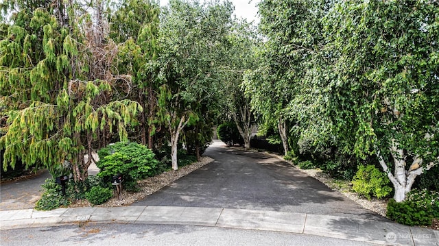 423 Lombard Ln, Wenatchee, WA 98801 - view of road