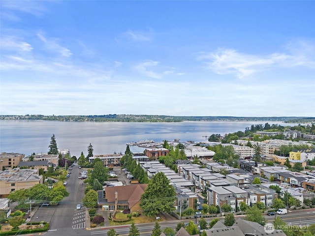 424 3rd Ln S Unit 12, Kirkland, WA 98033 - bird's eye view of a large body of water