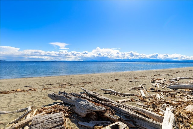 860 Old Beach Rd, Freeland, WA 98249 - photo 1