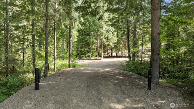 3190 Kachess Lake Rd, Easton, WA 98925 - photo 4