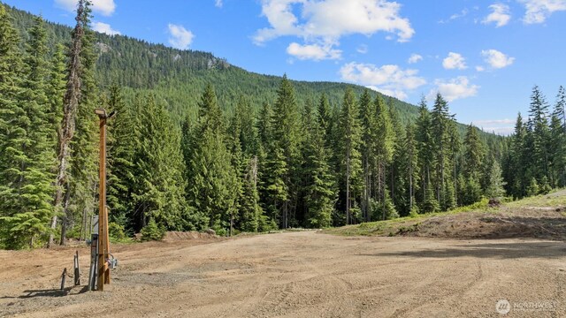 3190 Kachess Lake Rd, Easton, WA 98925 - photo 7