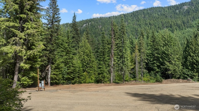3190 Kachess Lake Rd, Easton, WA 98925 - photo 8