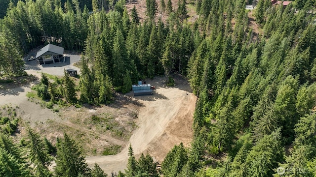 3190 Kachess Lake Rd, Easton, WA 98925 - photo 13