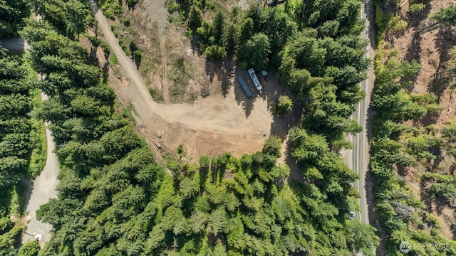 3190 Kachess Lake Rd, Easton, WA 98925 - photo 15