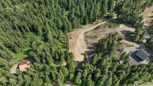 3190 Kachess Lake Rd, Easton, WA 98925 - photo 16
