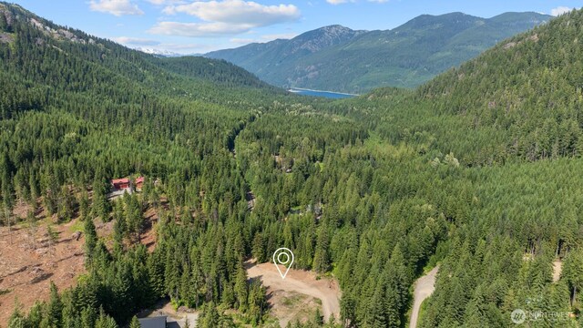 3190 Kachess Lake Rd, Easton, WA 98925 - photo 19