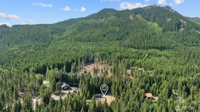 3190 Kachess Lake Rd, Easton, WA 98925 - photo 20
