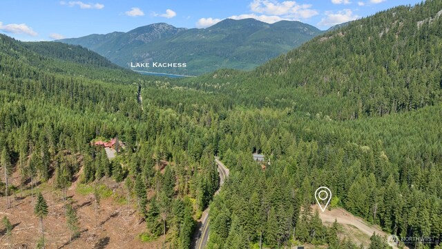 3190 Kachess Lake Rd, Easton, WA 98925 - photo 21