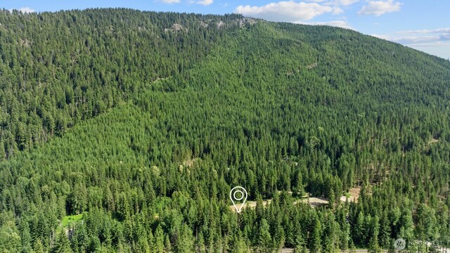 3190 Kachess Lake Rd, Easton, WA 98925 - photo 22
