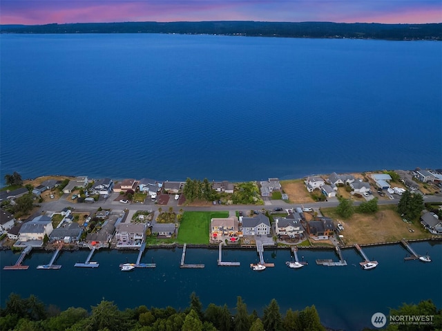 493 N Beach Dr, Port Ludlow, WA 98365 - aerial view at dusk of a residential view and a water view
