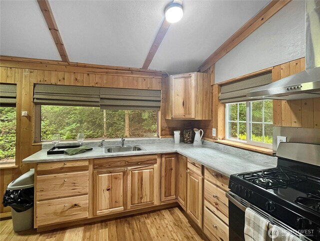 390 N Dow Mountain Dr, Hoodsport, WA 98548 - photo 7
