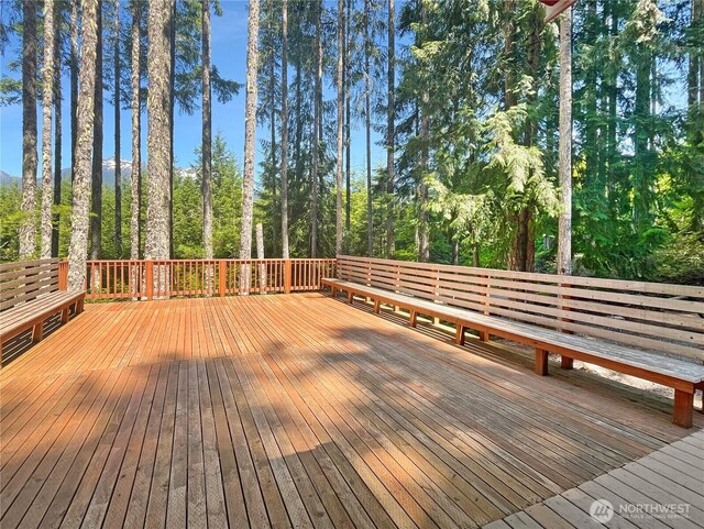 390 N Dow Mountain Dr, Hoodsport, WA 98548 - photo 20