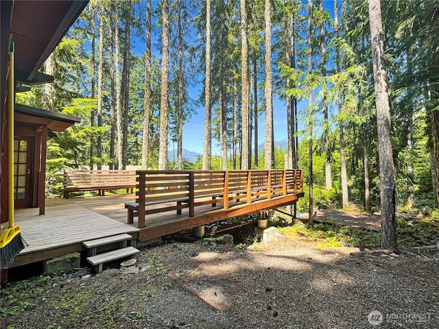 390 N Dow Mountain Dr, Hoodsport, WA 98548 - photo 22