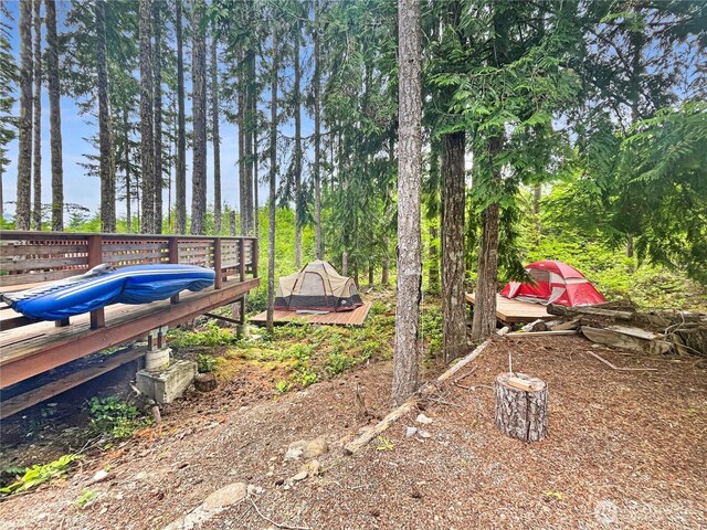 390 N Dow Mountain Dr, Hoodsport, WA 98548 - photo 27