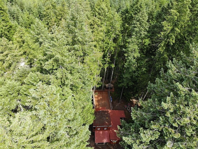 390 N Dow Mountain Dr, Hoodsport, WA 98548 - photo 31