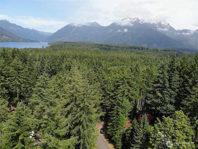 390 N Dow Mountain Dr, Hoodsport, WA 98548 - photo 32