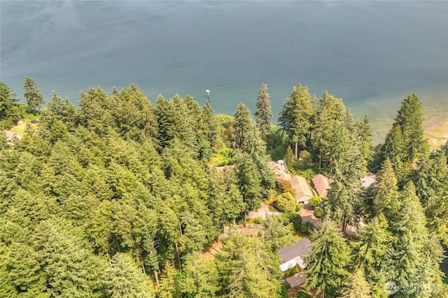 4211 Leavelle St NW, Olympia, WA 98502 - aerial view of a heavily wooded area