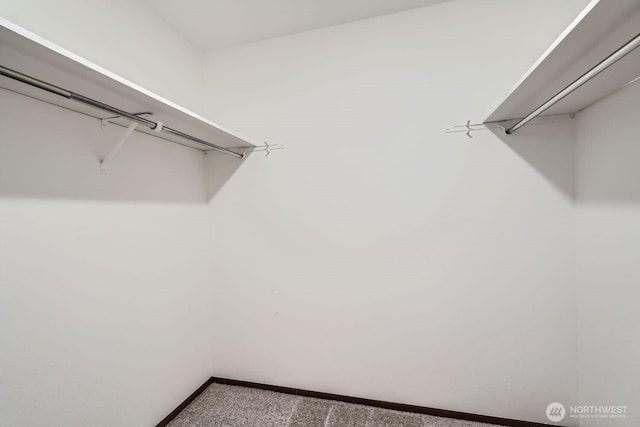 3434 25th Ave W Unit 101, Seattle, WA 98199 - walk in closet featuring carpet