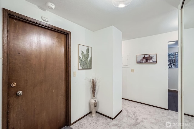 3434 25th Ave W Unit 101, Seattle, WA 98199 - hall with light colored carpet and baseboards