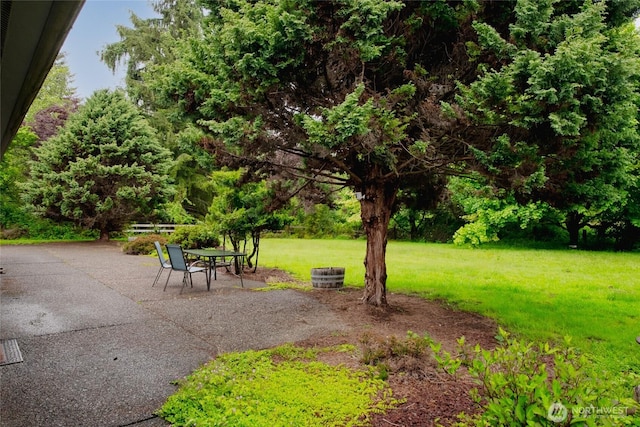 213 Monte Elma Rd, Montesano, WA 98563 - view of green lawn with a patio area