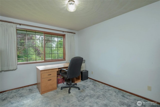 213 Monte Elma Rd, Montesano, WA 98563 - home office featuring baseboards and light carpet