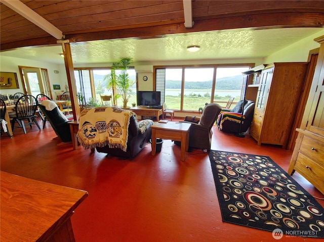 752 Parpala, Naselle, WA 98638 - living room featuring beam ceiling, plenty of natural light, and wood finished floors