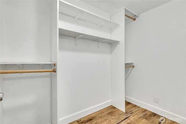 21628 SE 271st St, Maple Valley, WA 98038 - spacious closet featuring light wood-style floors