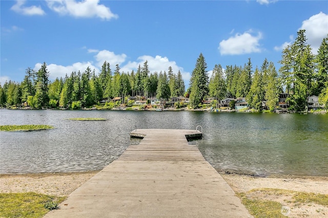21628 SE 271st St, Maple Valley, WA 98038 - dock featuring a water view