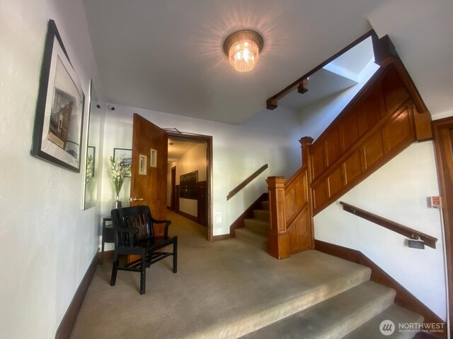4725 15th Ave NE Unit 14, Seattle, WA 98105 - stairs with carpet flooring and baseboards