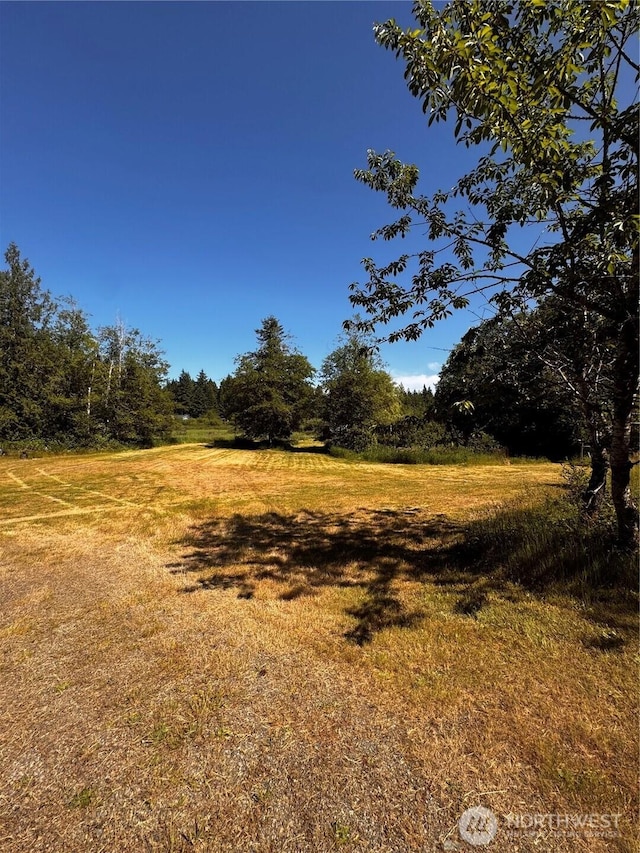 230 Meadowood Dr W, Seabeck, WA 98380 - photo 4