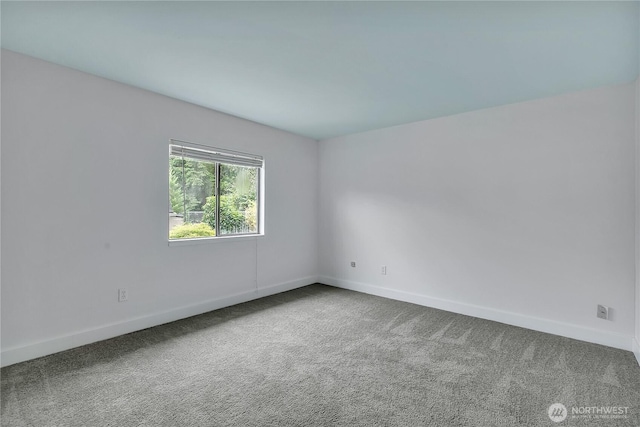 1111 Archwood Dr SW # 204, Olympia, WA 98502 - photo 23