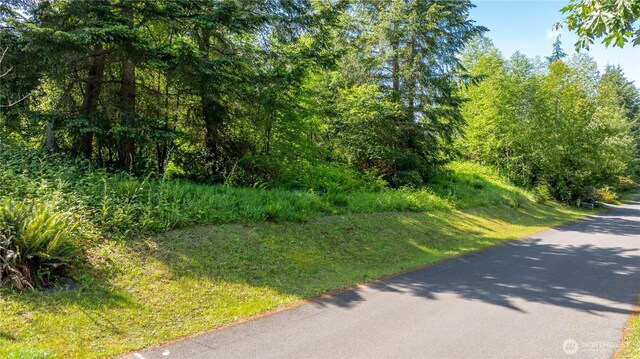 22821 Singingwood Park NE, Kingston, WA 98346 - photo 2