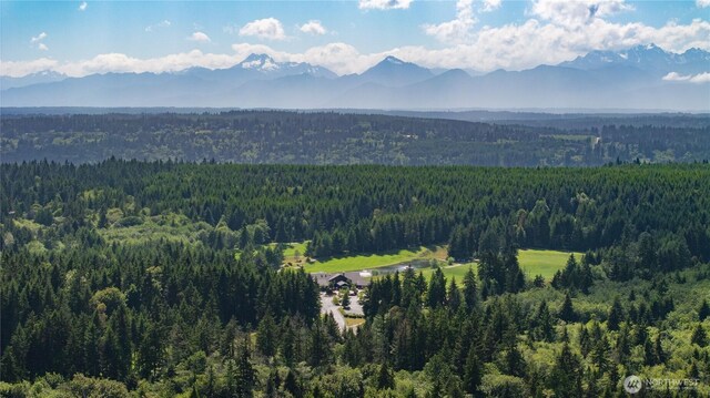 22821 Singingwood Park NE, Kingston, WA 98346 - photo 4