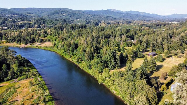 4311 NW 419th, Woodland, WA 98674 - photo 39