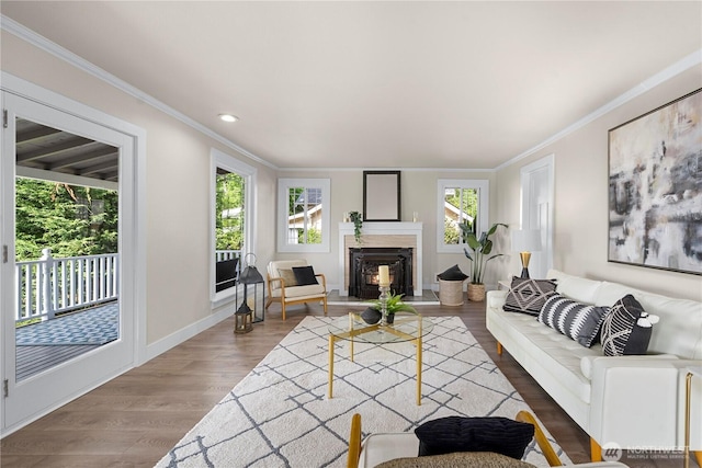 2855 SW 300th Pl, Federal Way, WA 98023 - living room with plenty of natural light, ornamental molding, a warm lit fireplace, wood finished floors, and recessed lighting