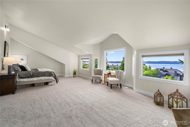 2855 SW 300th Pl, Federal Way, WA 98023 - carpeted bedroom with vaulted ceiling and baseboards