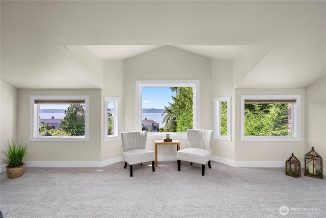2855 SW 300th Pl, Federal Way, WA 98023 - living area with carpet and plenty of natural light